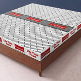 Life Time Foam